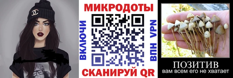 мега как зайти  Микунь  Галлюциногенные грибы MAGIC MUSHROOMS 